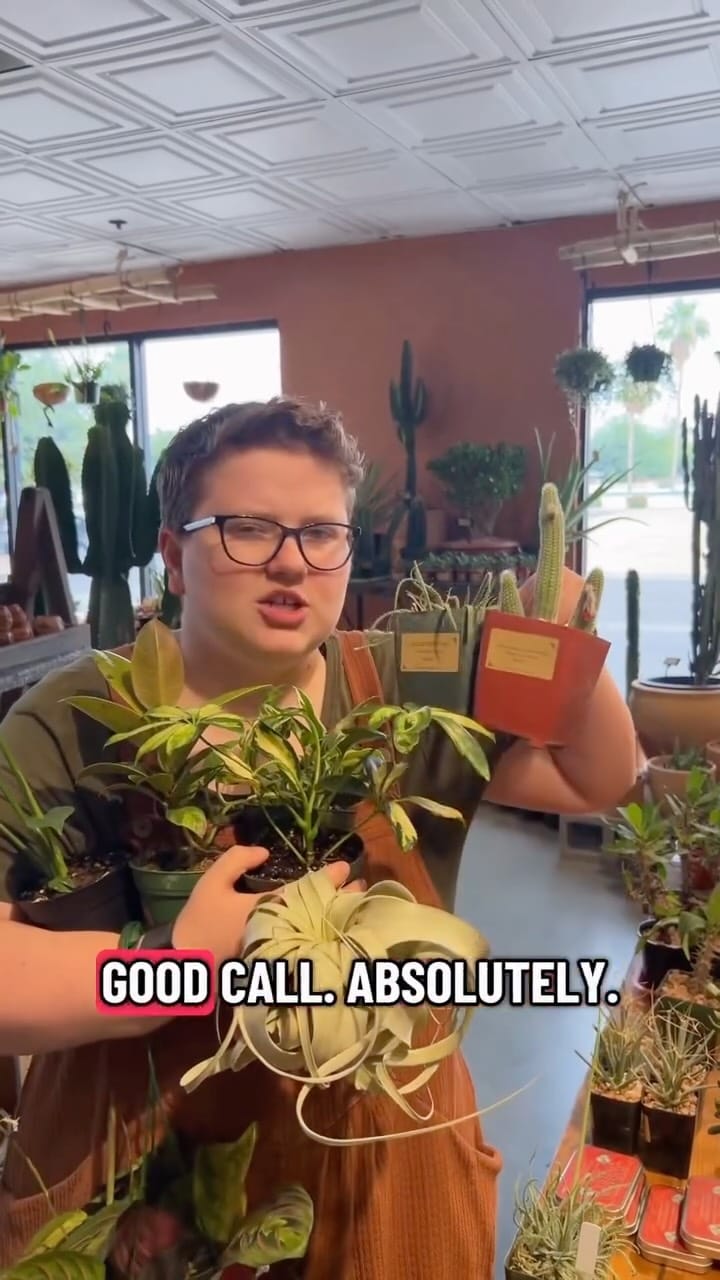 Post 6 by Maricopa Botanicals on Instagram (video)