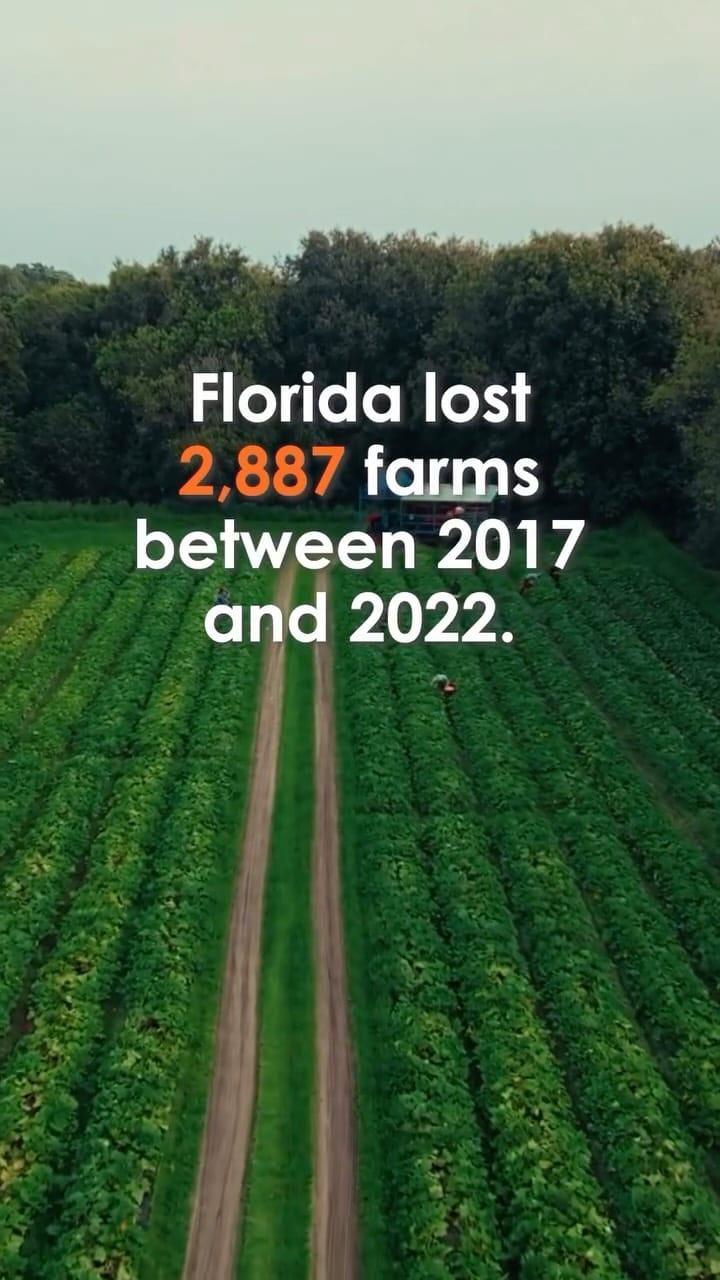 Post 9 by Florida Farm Bureau on Instagram (video)