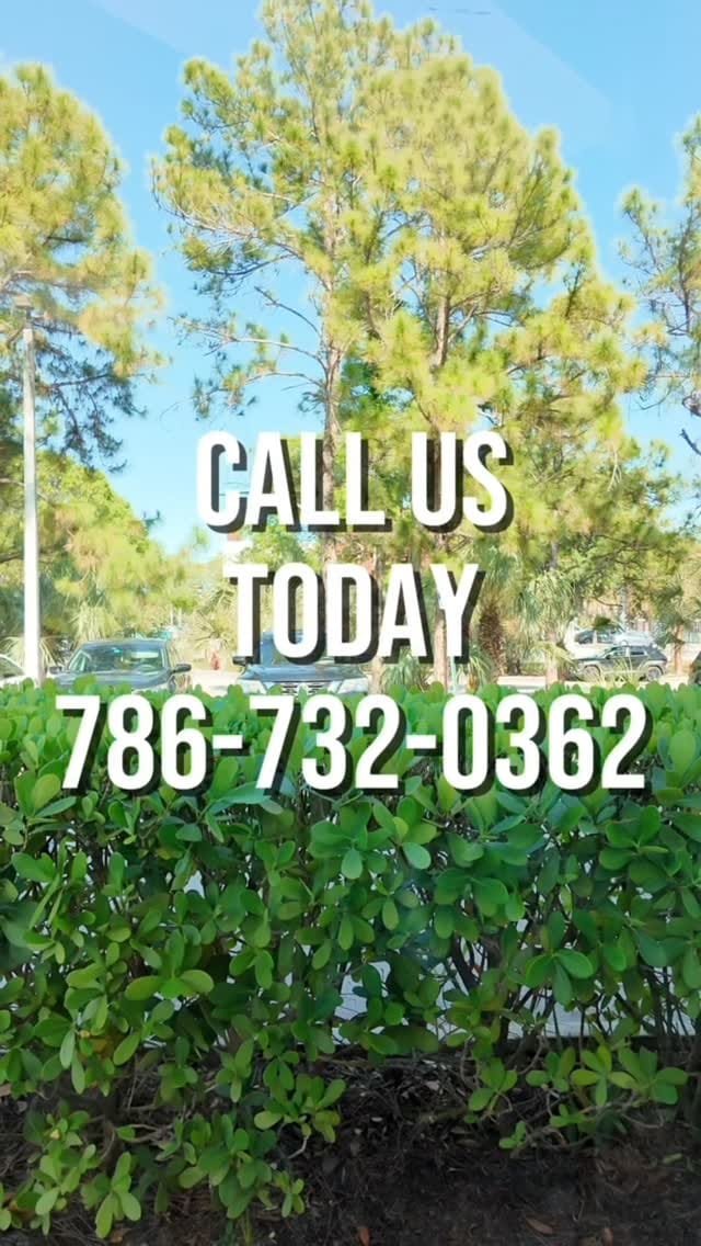 Post 5 by Reylos| Providing High Impact Windows & Doors For All of FL on Instagram (video)