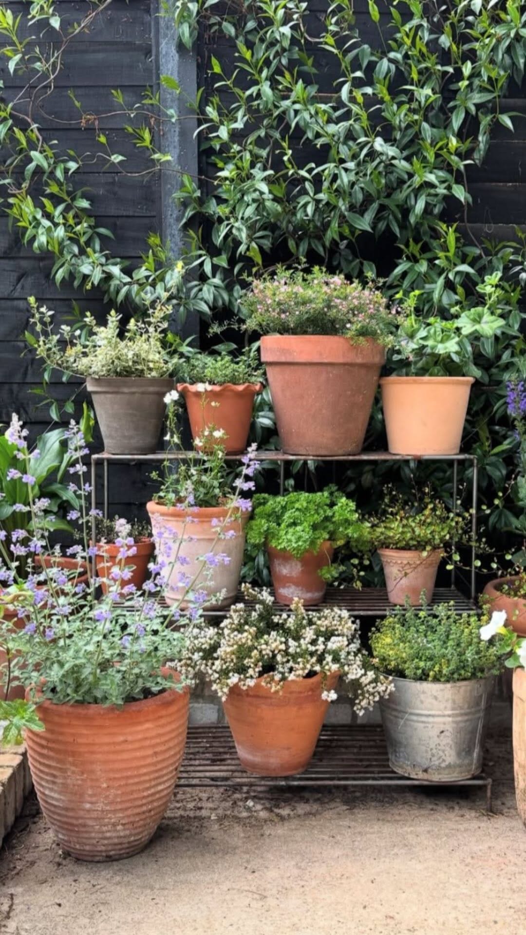 Post 4 by Kate DeWitt Design | Marin + SF  Designer on Instagram (video)