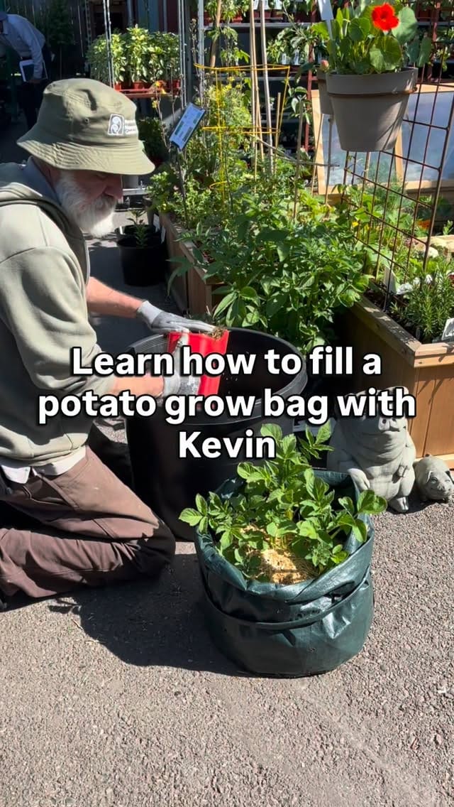 Post 1 by West Seattle Nursery on Instagram (video)