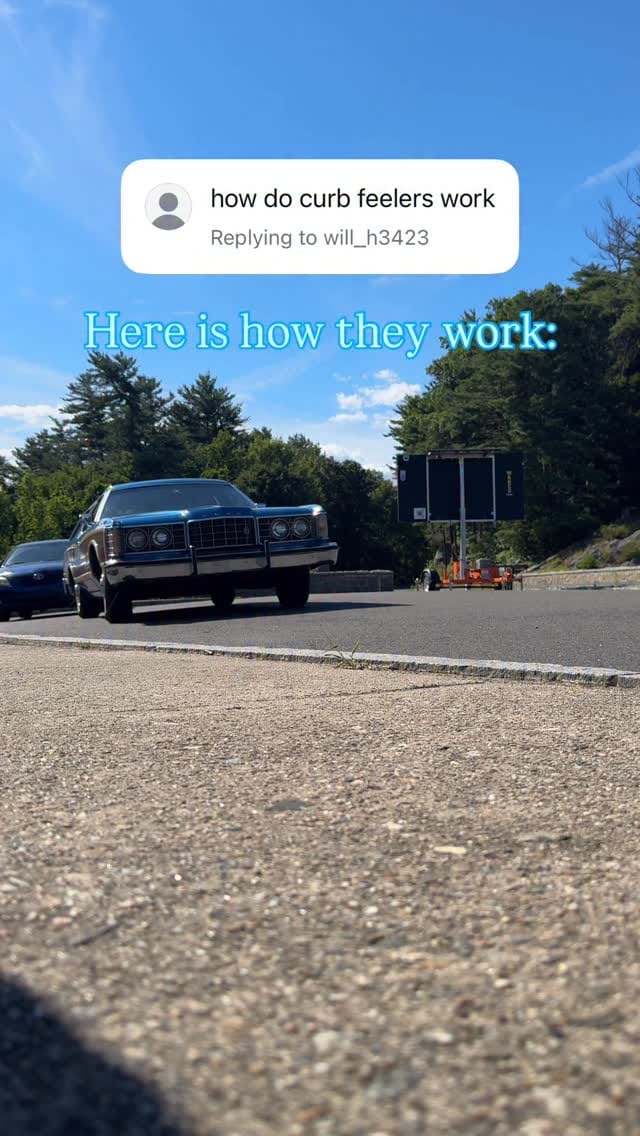 Post 9 by Phoenix 🐦‍🔥 on Instagram (video)