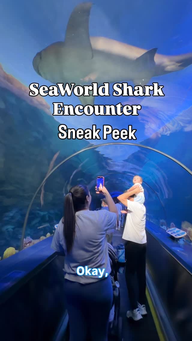 Post 2 by San Diego Family Fun on Instagram (video)