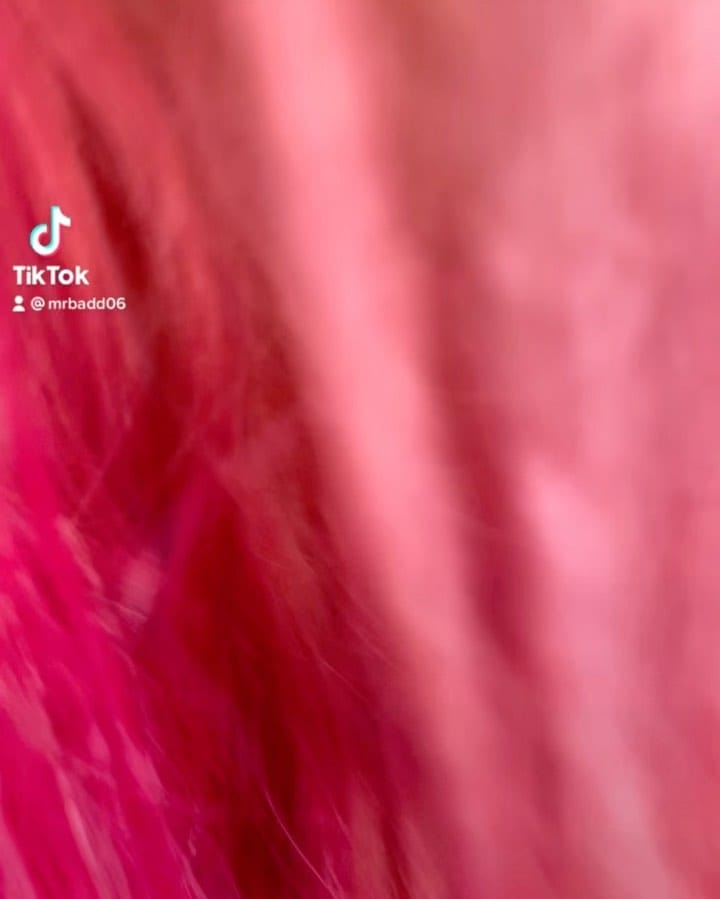 Post 9 by Focus!!!! on Instagram (video)