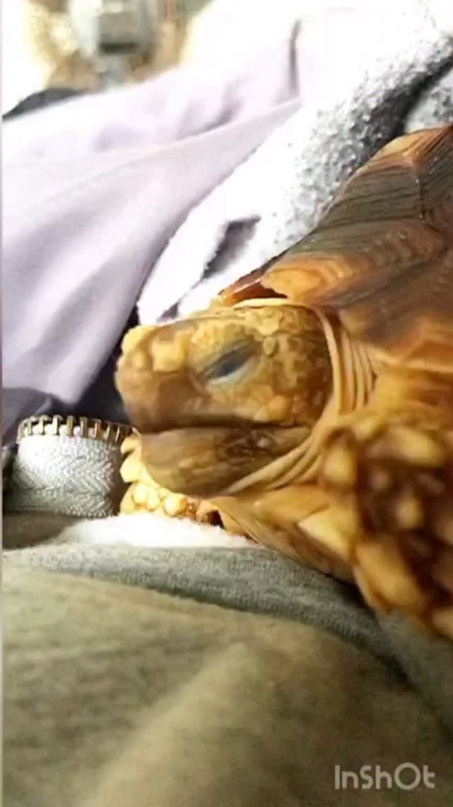 Post 4 by Tucker on Instagram (video)