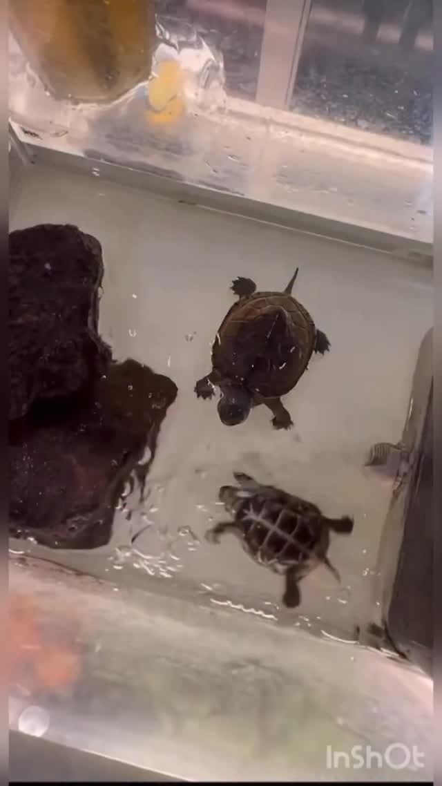 Post 7 by Tucker on Instagram (video)