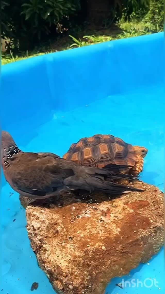 Post 5 by Tucker on Instagram (video)
