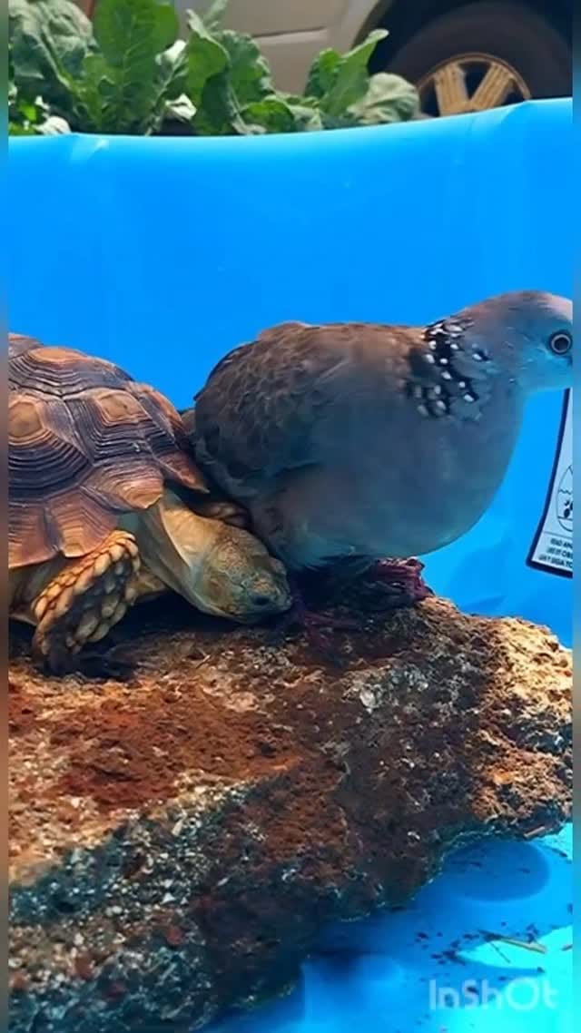 Post 6 by Tucker on Instagram (video)