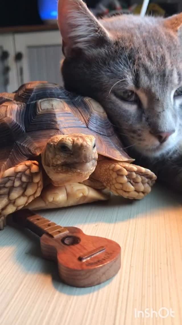 Post 8 by Tucker on Instagram (video)