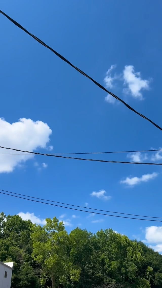 Post 3 by PeanutWithDaWraps on Instagram (video)