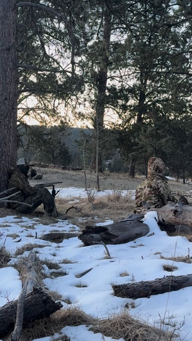 Post 5 by Logan Holtz on Instagram (video)