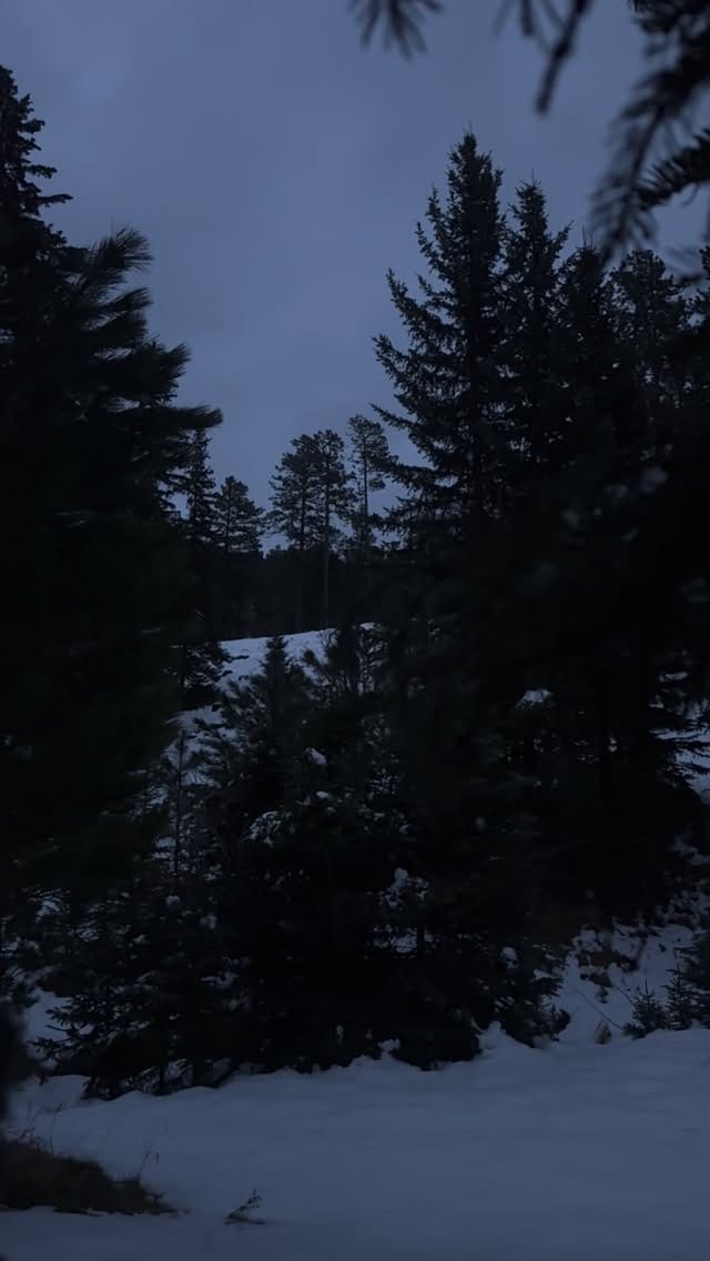 Post 8 by Logan Holtz on Instagram (video)