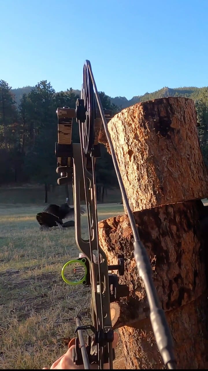 Post 10 by Logan Holtz on Instagram (video)