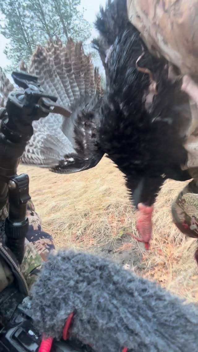 Post 7 by Logan Holtz on Instagram (video)
