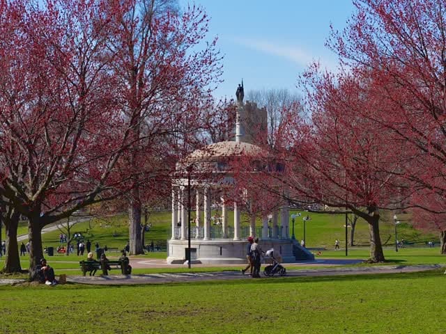 Post 2 by Boston Vibes 📸 on Instagram (video)
