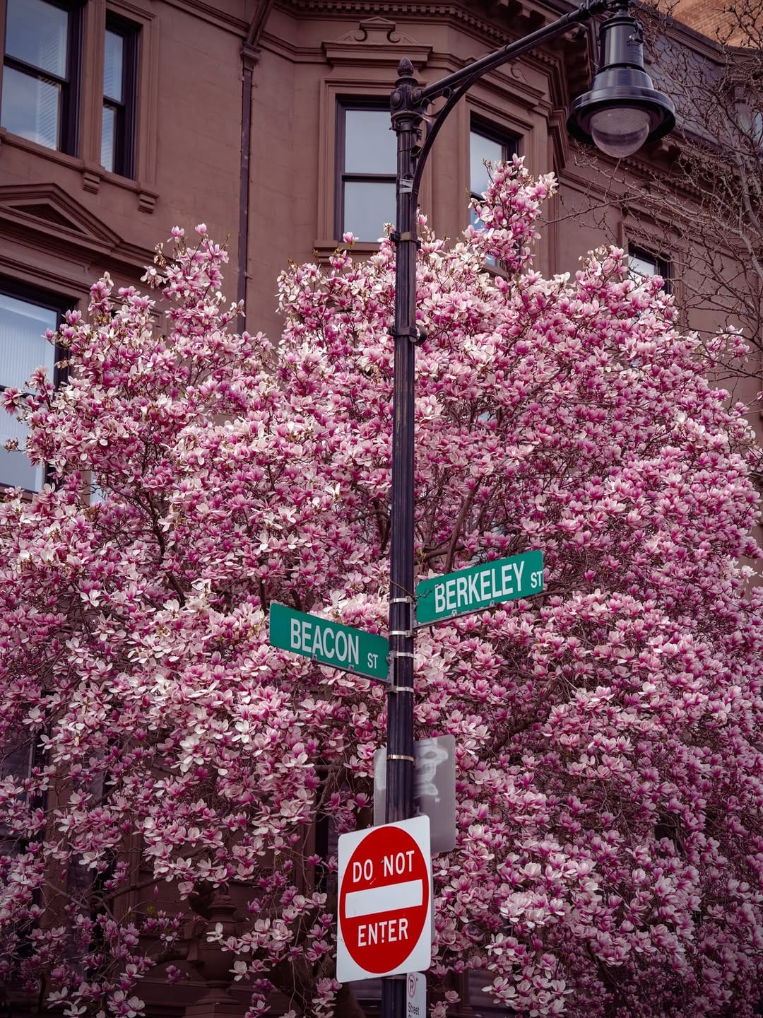 Post 1 by Boston Vibes 📸 on Instagram (image)