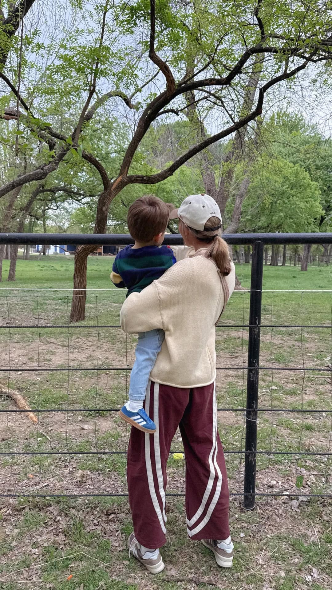 Post 8 by Michelle Reed Gauthier on Instagram (video)