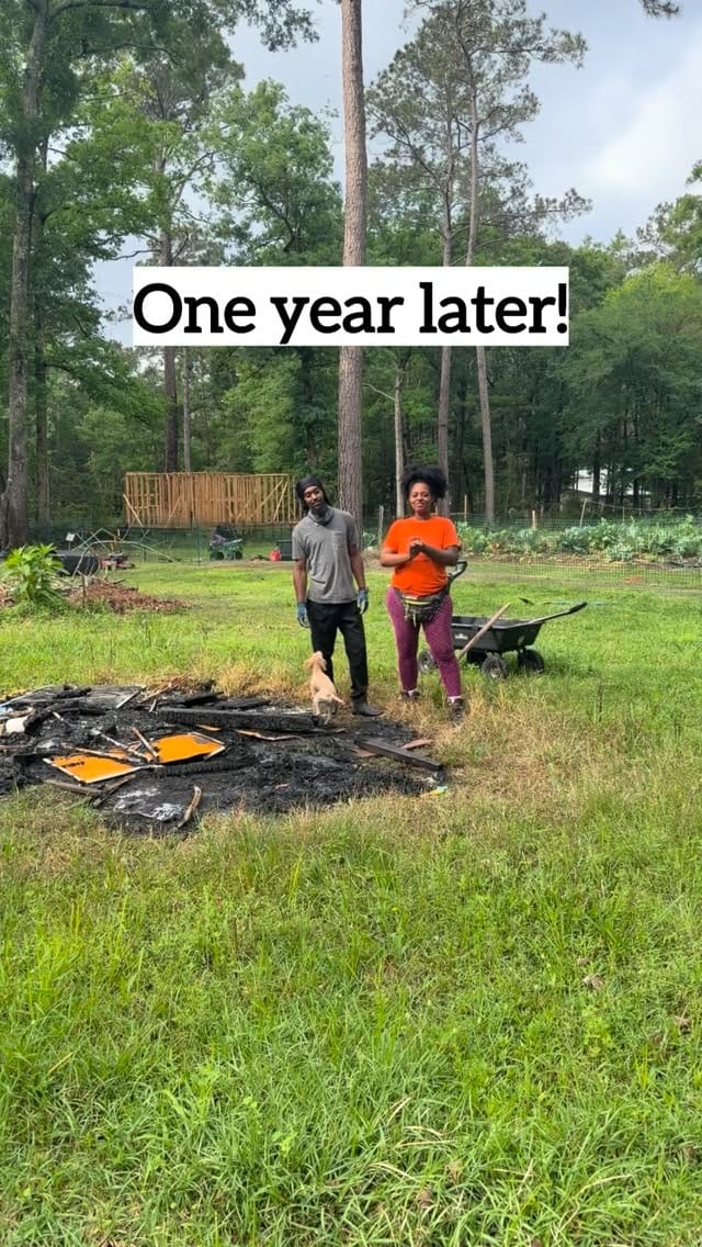 Post 3 by DeShaun Taylor, LM, CPM on Instagram (video)