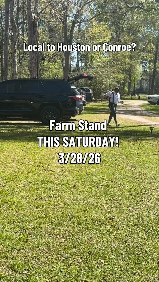 Post 7 by DeShaun Taylor, LM, CPM on Instagram (video)