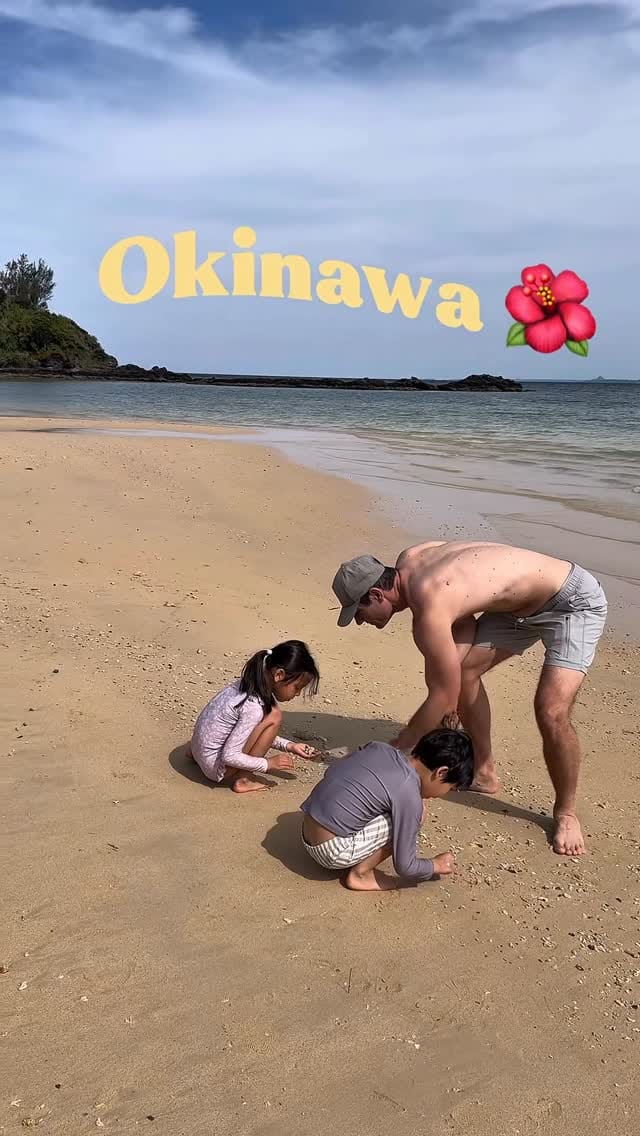 Post 7 by 𝐄𝐥𝐥𝐢𝐞 𝐀𝐦𝐞𝐬 on Instagram (video)