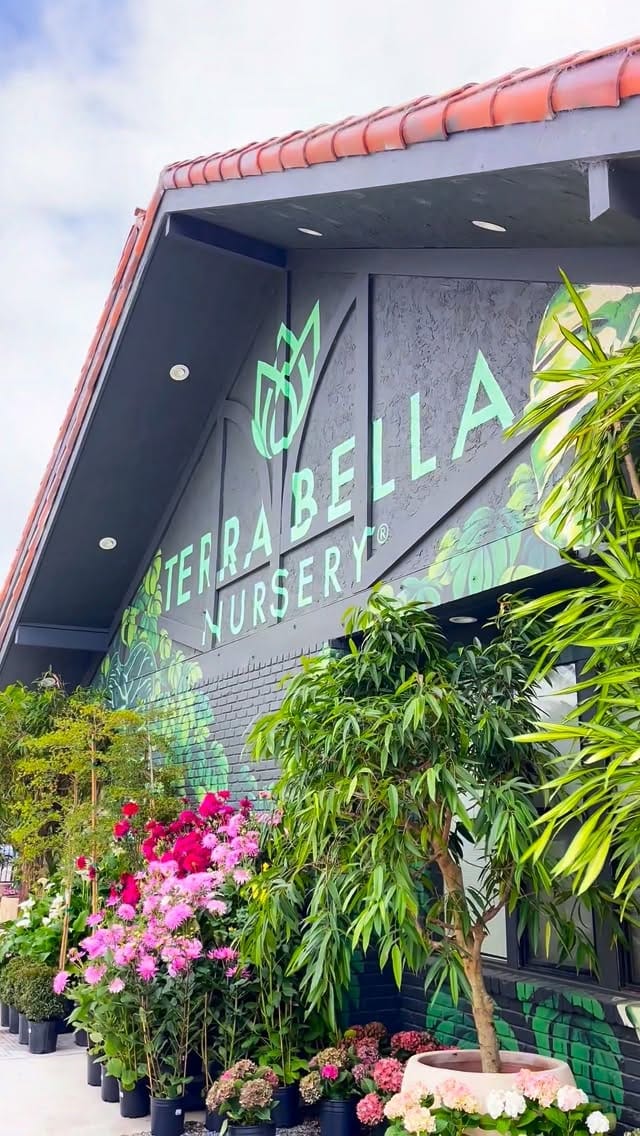 Post 5 by Terra Bella Nursery, Inc. on Instagram (video)