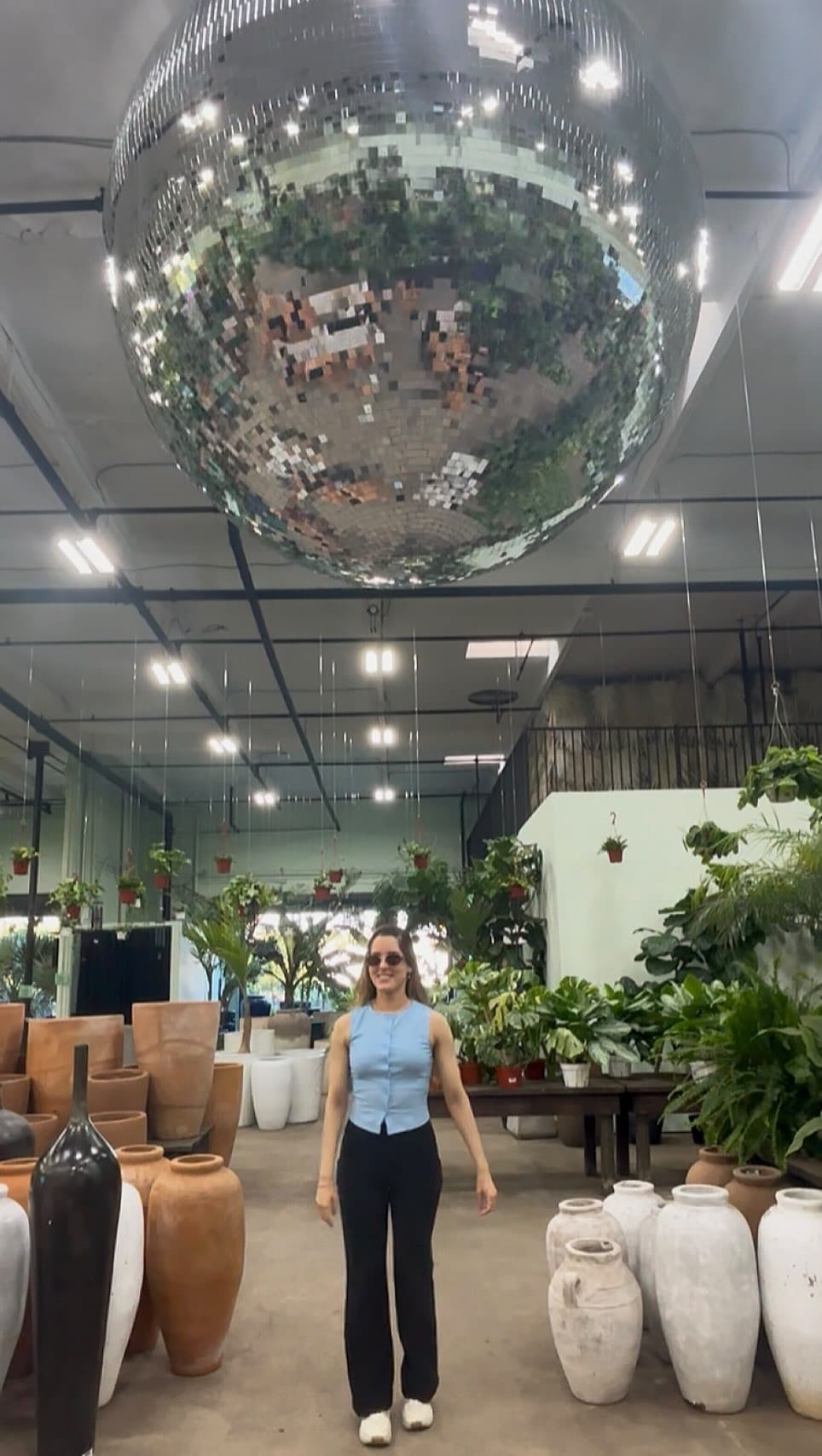 Post 8 by Terra Bella Nursery, Inc. on Instagram (video)
