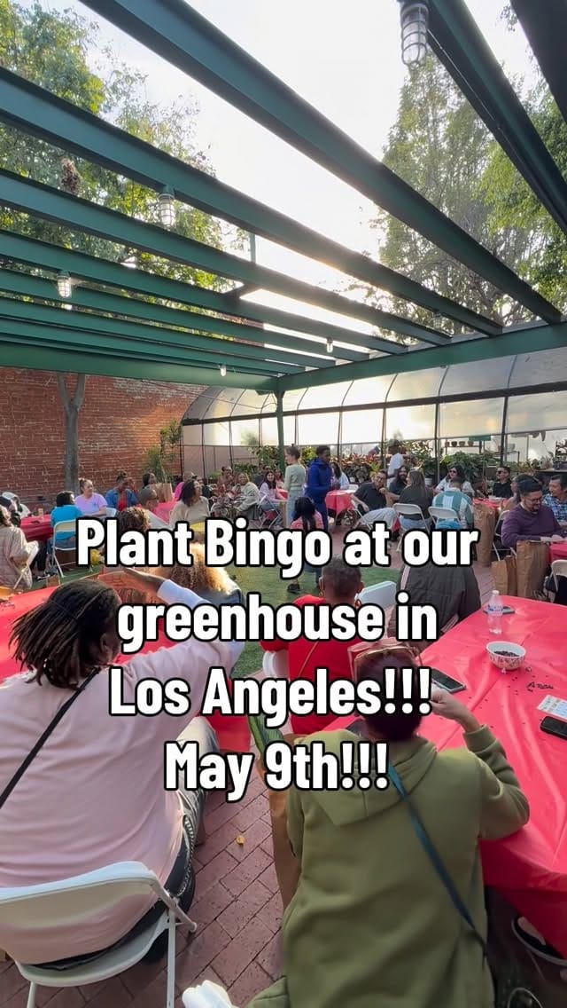 Post 3 by Let Us Plantify Your Life! on Instagram (video)