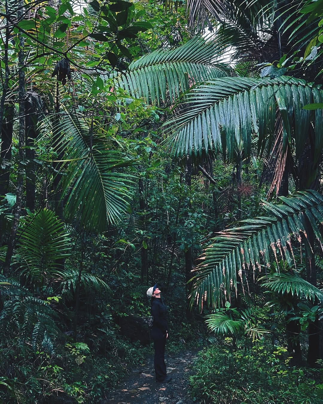 Post 10 by Margaux Sauvage on Instagram (image)