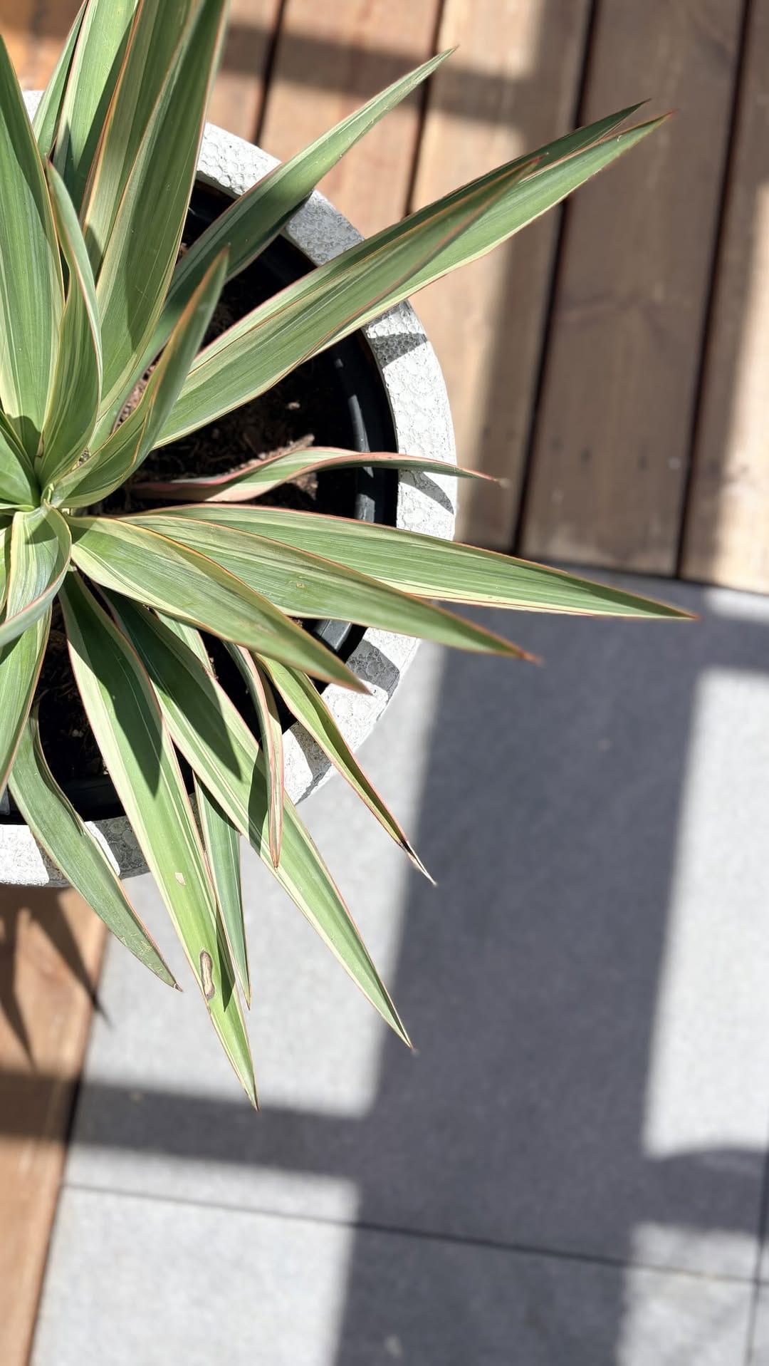 Post 1 by Alex / Déco & Maison on Instagram (video)