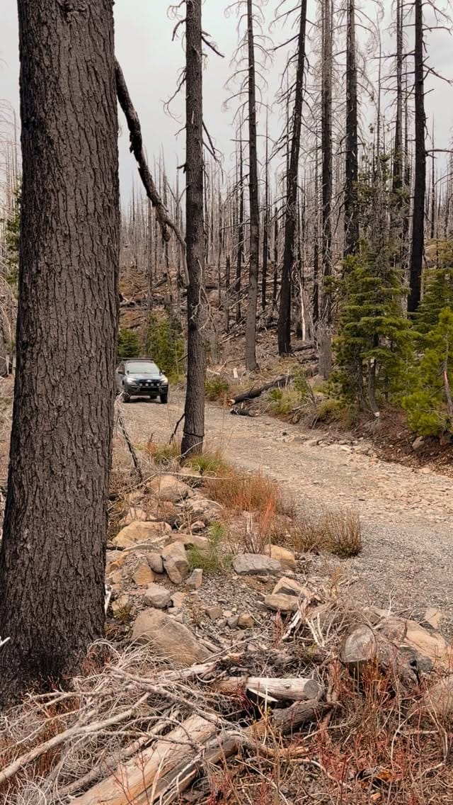 Post 6 by Patrick Anderson on Instagram (video)