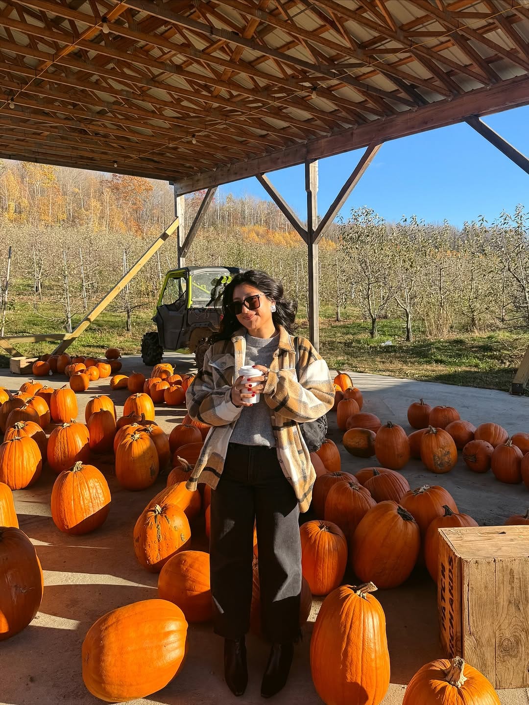 Post 2 by Sofia Solis on Instagram (carousel)