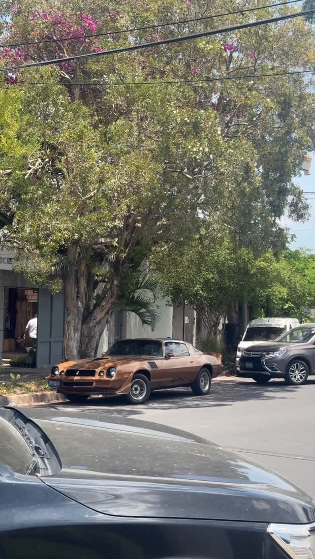 Post 9 by TurboTeamSV on Instagram (video)
