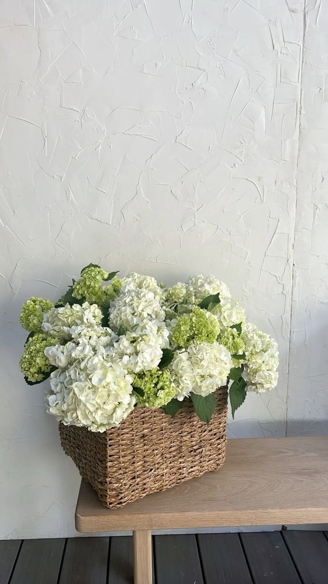 Post 5 by Emylie Frisch Leger on Instagram (video)