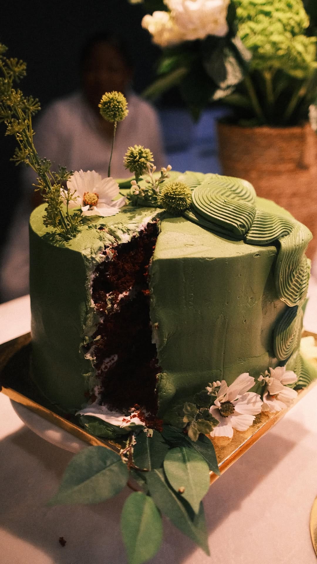 Post 3 by Emylie Frisch Leger on Instagram (video)