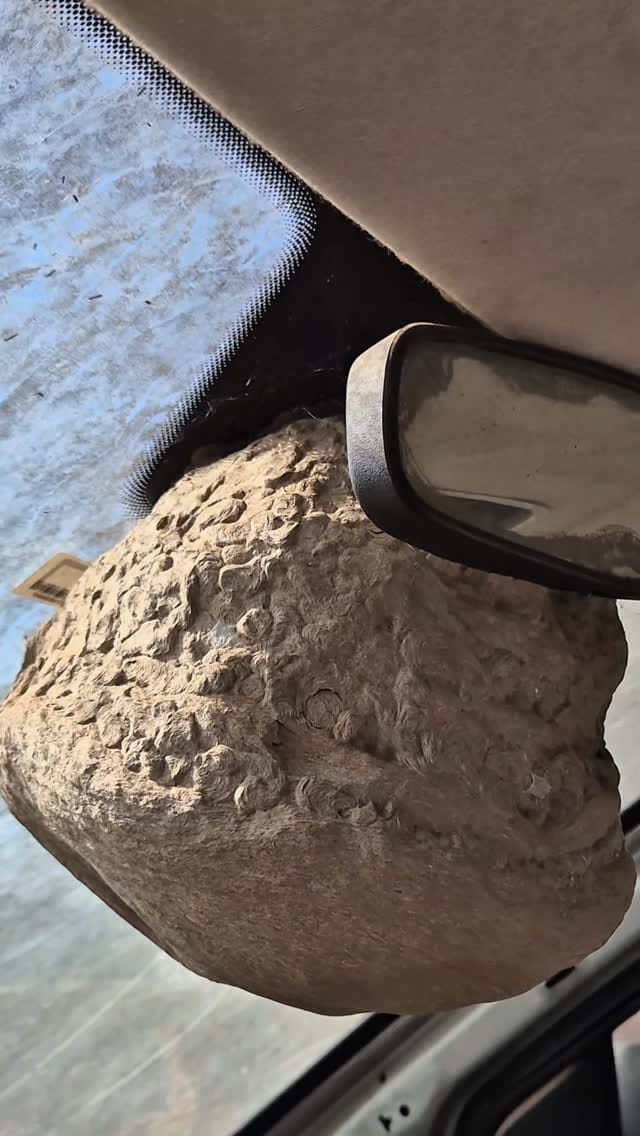 Post 7 by Desmanche Auto Mogi Peças usadas para carros on Instagram (video)