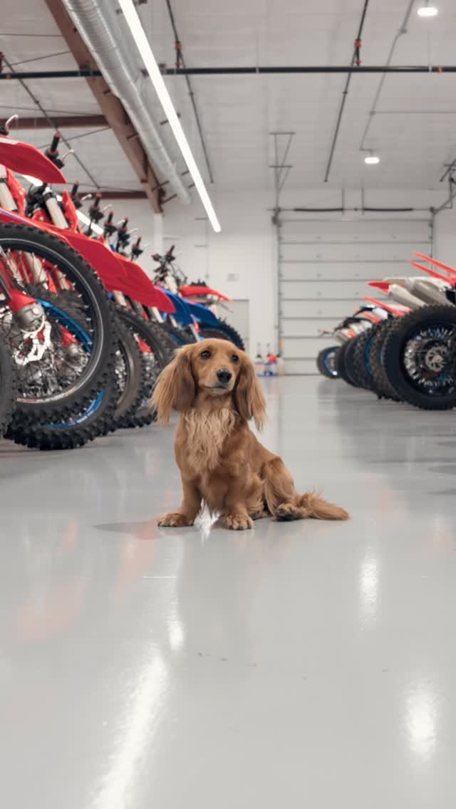 Post 3 by Beta USA on Instagram (video)