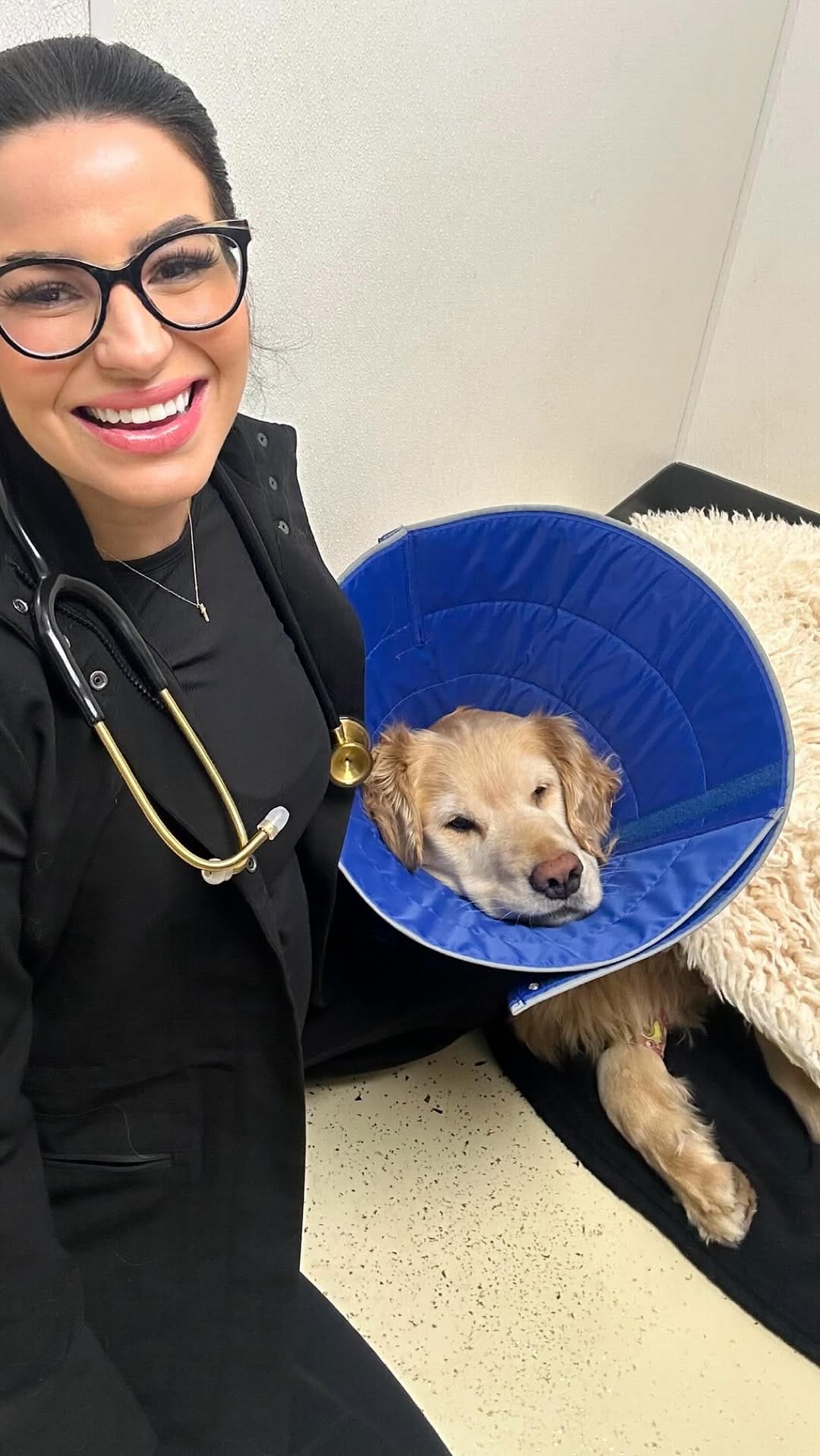Post 7 by Jennifer Remnes Wright, DVM on Instagram (video)