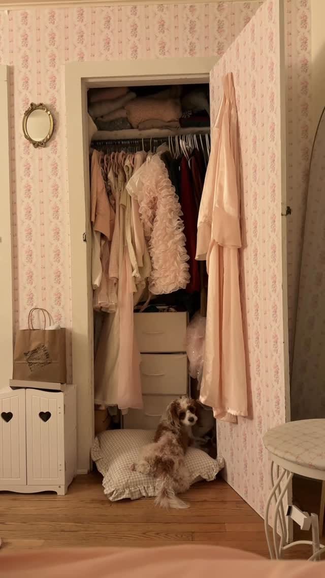 Post 4 by gigi🧚🏼‍♀️ on Instagram (video)