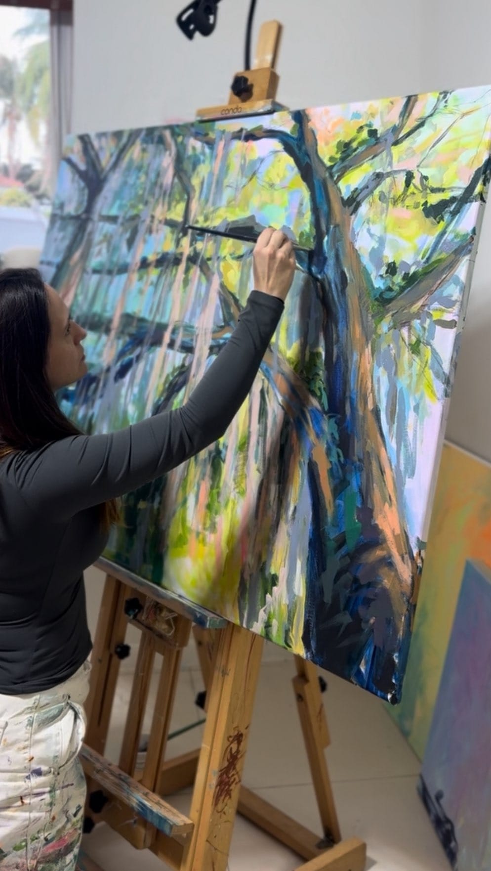 Post 6 by Ana Corina Guinand - Arte on Instagram (video)