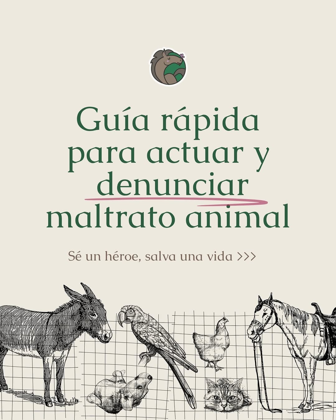 Post 8 by Cuacolandia on Instagram (carousel)