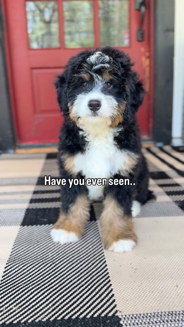 Post 7 by Tina Schultheis on Instagram (video)