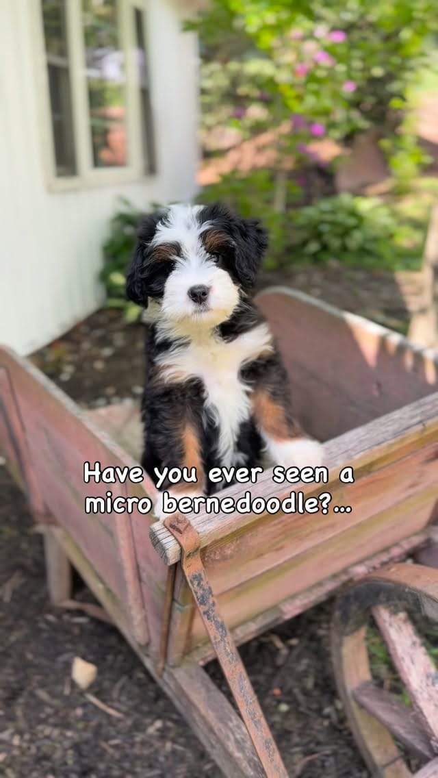 Post 3 by Tina Schultheis on Instagram (video)