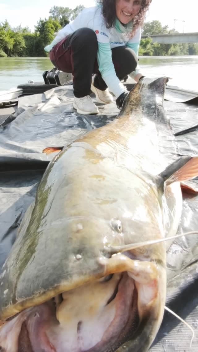 Post 6 by Adriano Marini Angler on Instagram (video)