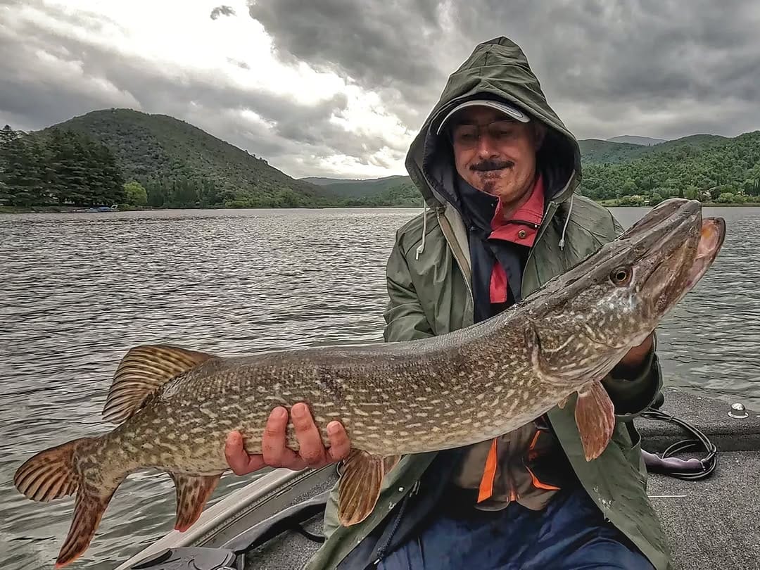 Post 2 by Adriano Marini Angler on Instagram (carousel)