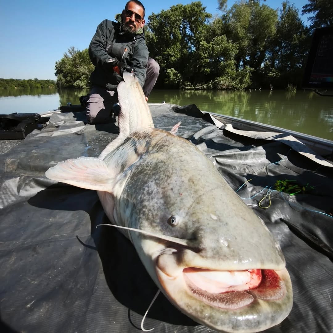 Post 9 by Adriano Marini Angler on Instagram (carousel)