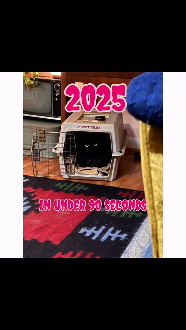 Post 8 by Lauren Taylor on Instagram (video)