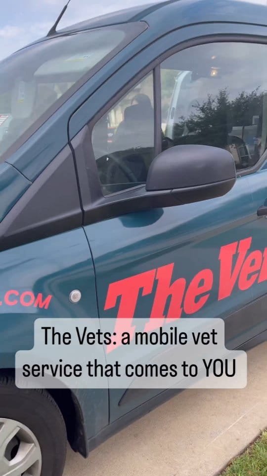 Post 10 by The Vets on Instagram (video)