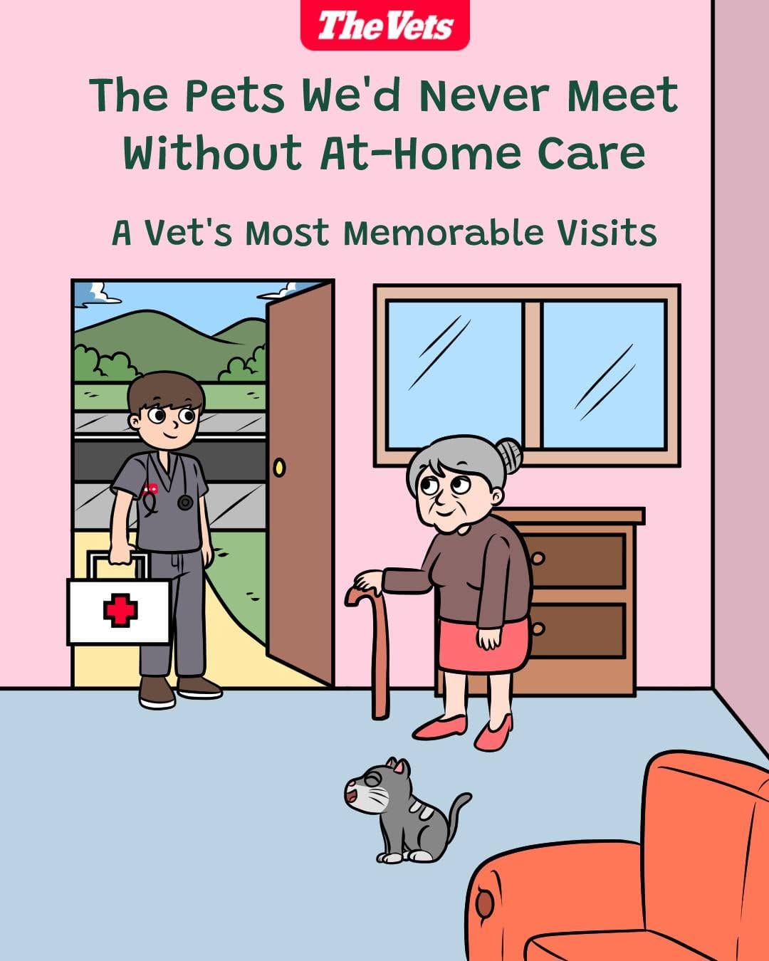 Post 6 by The Vets on Instagram (carousel)