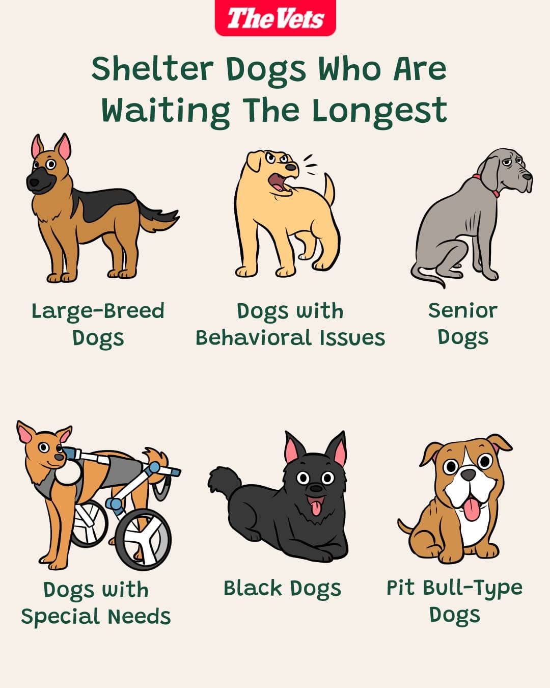 Post 8 by The Vets on Instagram (image)