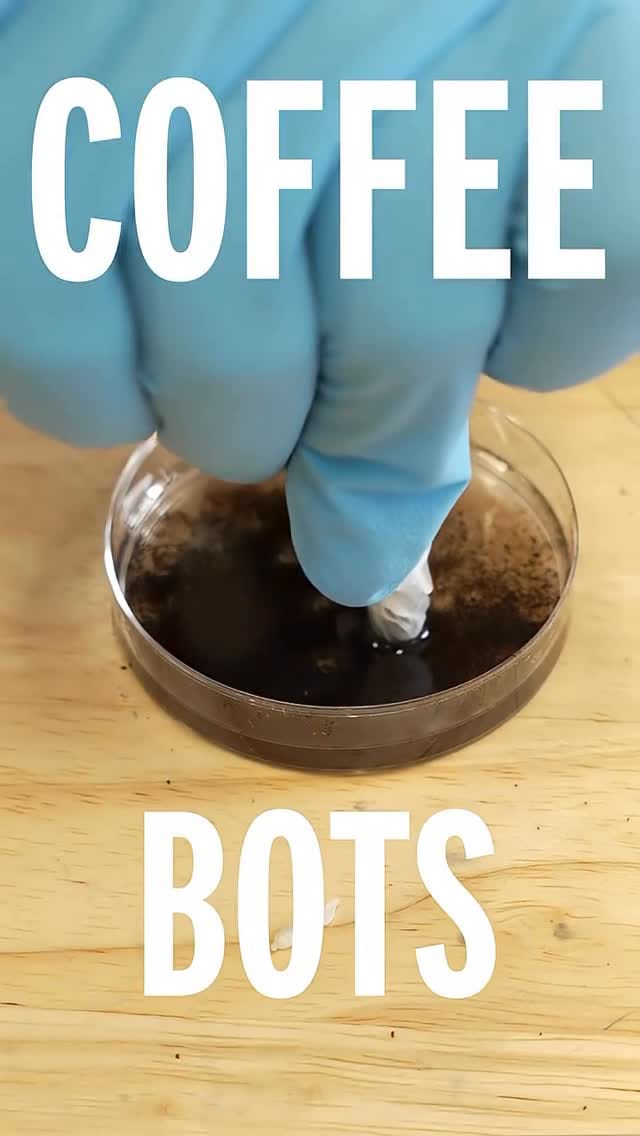 Post 7 by Alex Dainis, PhD on Instagram (video)
